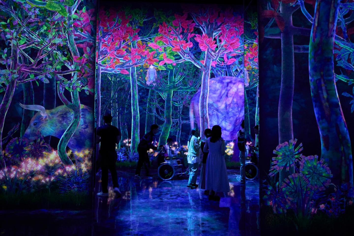 進化し続ける「チームラボプラネッツ TOKYO DMM」で、 非日常を体感するの画像