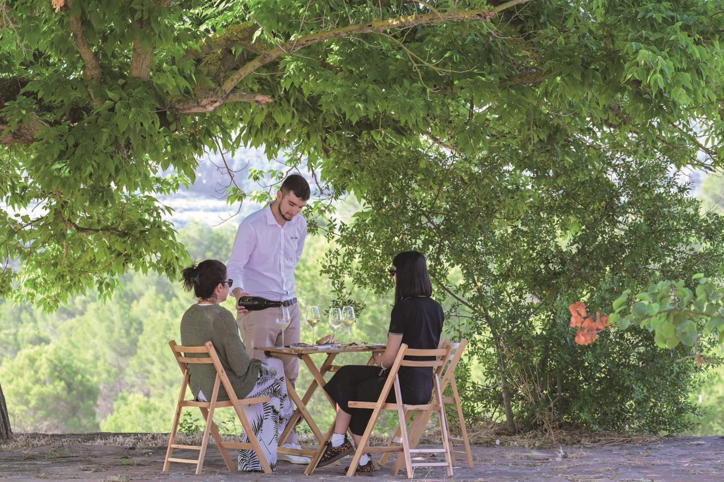 バルセロナから足をのばしてカヴァのふるさとへの画像