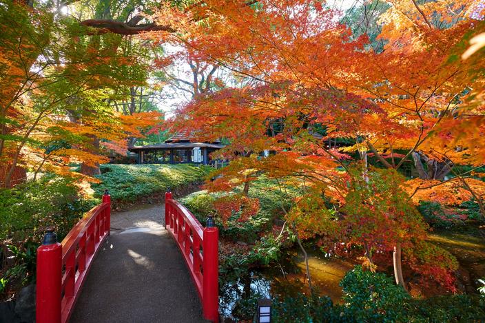 美味と紅葉のぜいたくに浸る／東京編のサムネイル