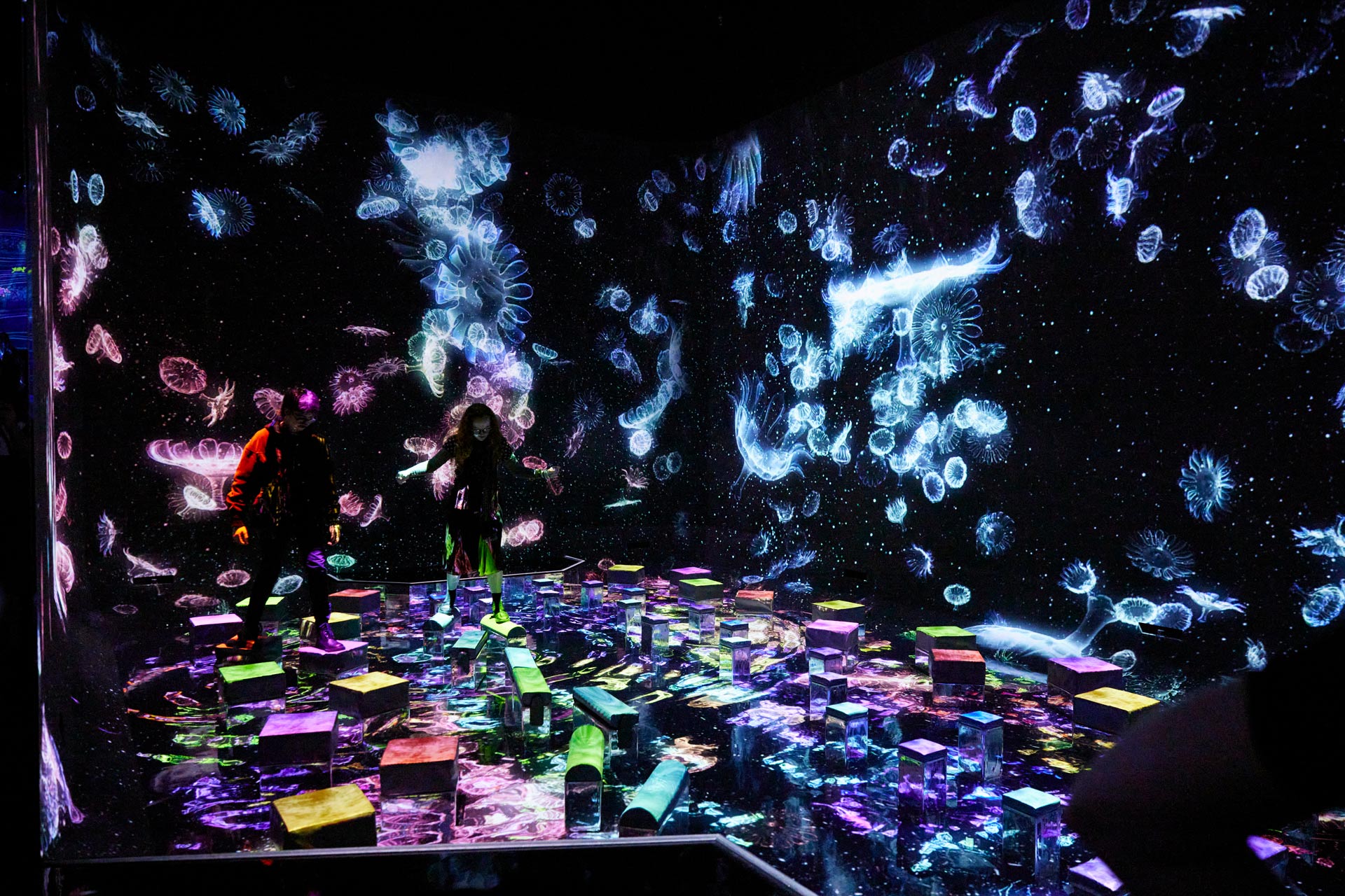 進化し続ける「チームラボプラネッツ TOKYO DMM」で、 非日常を体感するのイメージ2