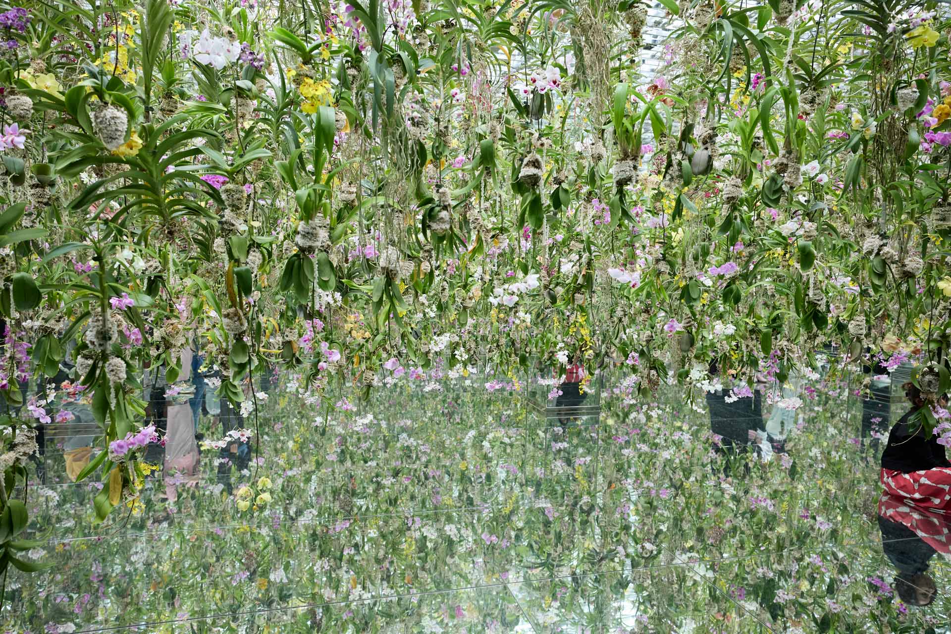 進化し続ける「チームラボプラネッツ TOKYO DMM」で、 非日常を体感するのイメージ4