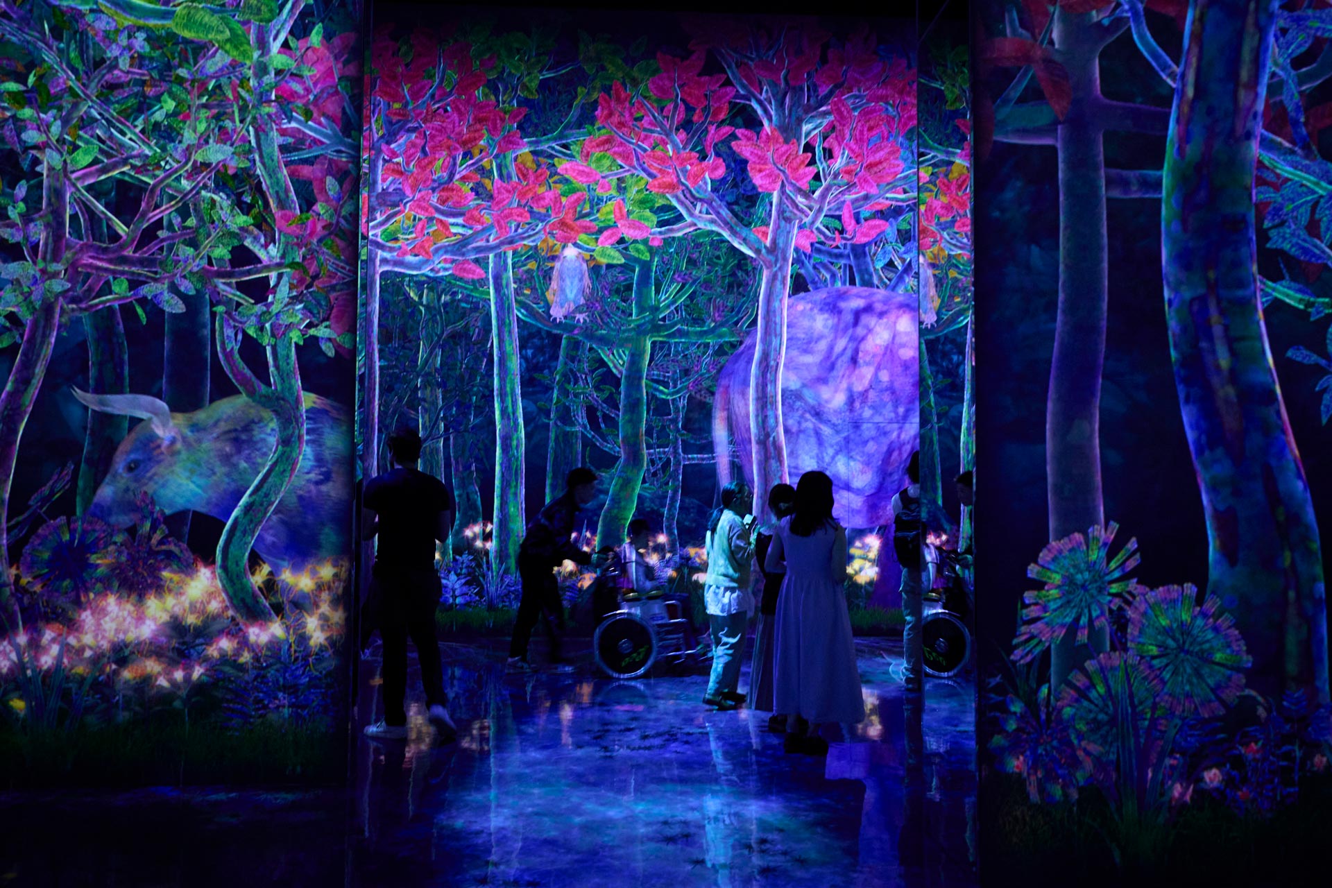 進化し続ける「チームラボプラネッツ TOKYO DMM」で、 非日常を体感するの代表イメージ